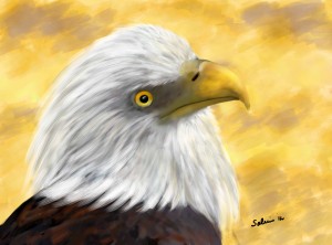 Proud Eagle